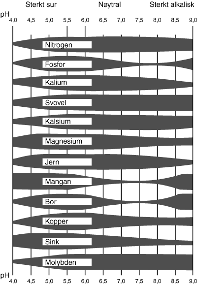 Virkning av pH på tilgjengeligheten av plantenæring i organisk jord. Bredden på de mørke diagrammene angir tilgjengelighet. Kilde: Skøien 2003