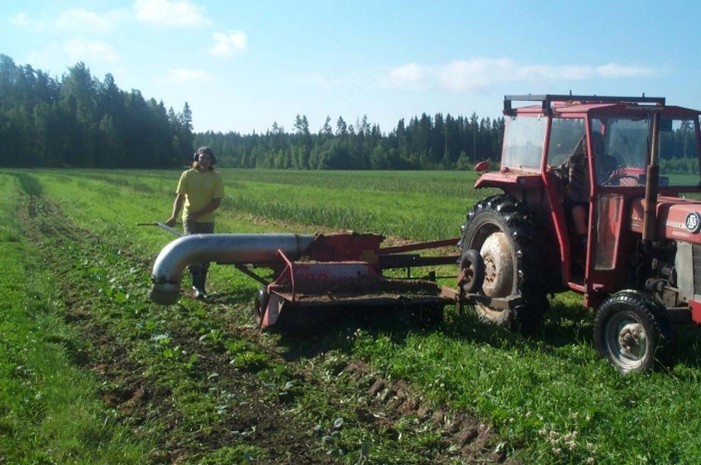 Høsting av grasklipp for utlegging i grønnsaksbed, ved hjelp av en ombygd fôrhøster, på en gård i Finland. Dyrkingsopplegget var striper med hvitløk eller andre grønnsaker mellom striper med kløvereng. Foto: A.-K. Løes