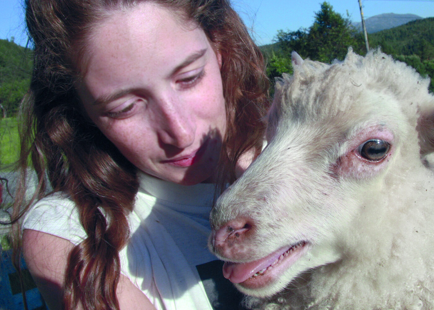 Dyrevelferd: Etikk og moral