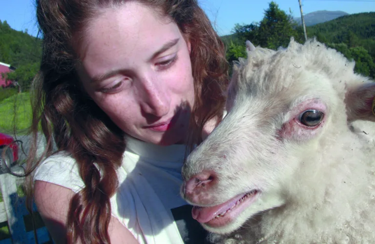 Dyrevelferd: Etikk og moral