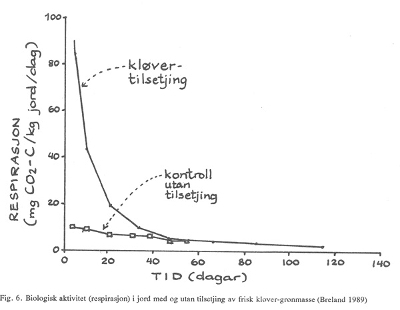 Figur 6: Biologisk aktivitet (respirasjon) i jord med og utan tilsetjing av frisk kløver-grønmasse. Foto: Breland, 1989