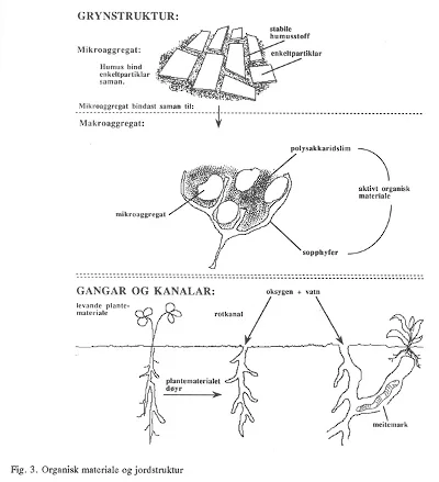 Figur 3: Organisk materiale og jordstruktur.