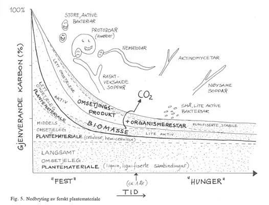 Figur 5: Nedbrytning av ferskt plantemateriale.