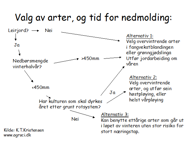 Figuren gir tips om valg av ettårige eller overvintrende arter, sett i forhold til jordart og nedbør i løpet av vinteren.