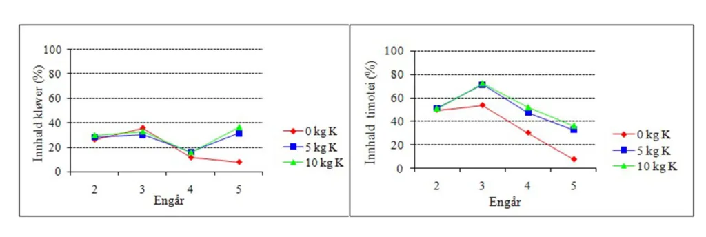 Figur 3: Endring i plantesetnad på torvjordsfeltet på Fureneset. Timotei til venstre og kløver til høgre i forsøksruter med og utan ekstra tilførsle av kalium.