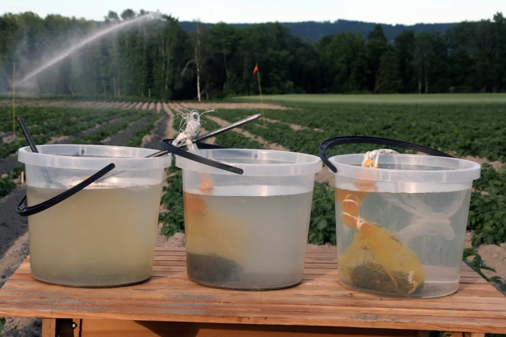 Aggregatstabiliteten kan sjekkes med bøttetesten. I bøtta til venstre er det undergrunnsjord, fra cirka 45 cm djup. I midten er det jord fra matjordlaget, mens det til høgre er jord fra åkerkanten hvor det alltid er plantedekke. Dess raskere jorda løser seg opp i vannet, dess dårligere er aggregatstabiliteten. Lite moldinnhold gir dårligere stabilitet. Molda virker som en slags svamp, ved at det holder på vatn, og spretter litt ut igjen.