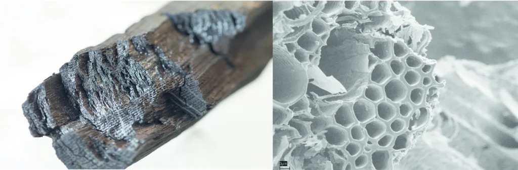 Biokull av eik (t.v.) og sterkt forstørret bilde av biokull laget av et hvetehalmstrå (t.h.)