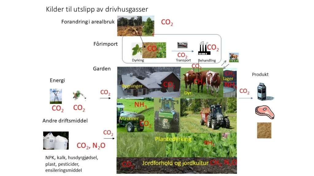 Kilder til utslipp av drivhusgasser ved melkeproduksjon. Drivhusgasser som slippes ut andre steder enn på gården ved produksjon og transport av varer til gårdsdrifta må tas med. Kilder til utslipp av drivhusgasser ved melkeproduksjon. Drivhusgasser som slippes ut andre steder enn på gården ved produksjon og transport av varer til gårdsdrifta må tas med.