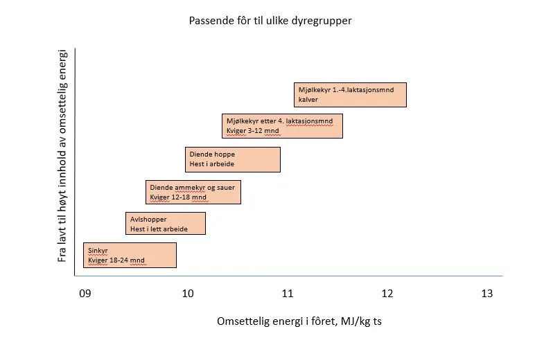 Oversikt over anbefalt energiinnhold til ulike dyregrupper. Fritt etter Hancock, 2011.