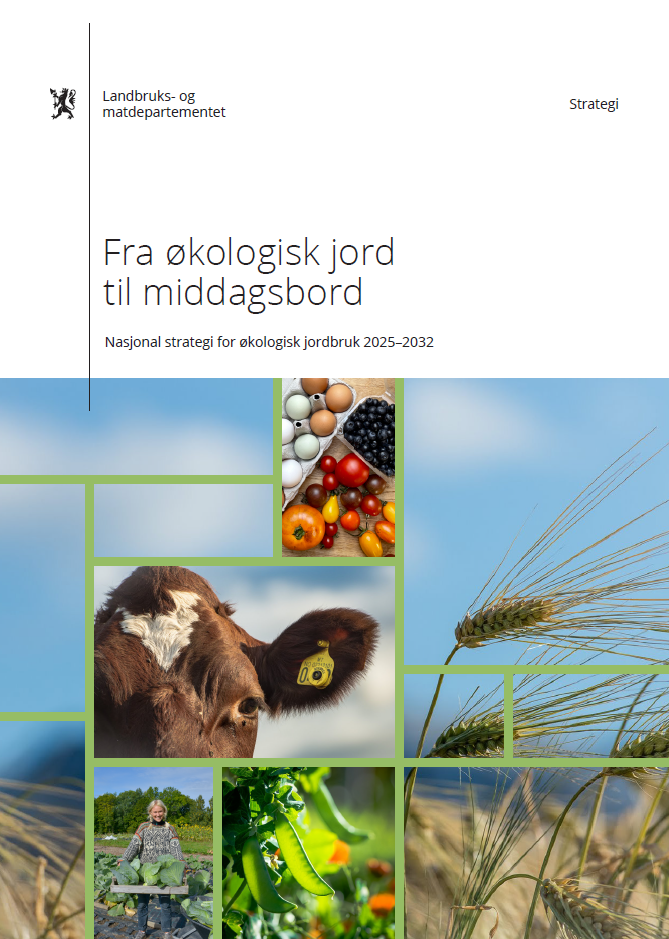 Fra Økologisk Jord Til Middagsbord Trykk på bildet for å lese hele strategien