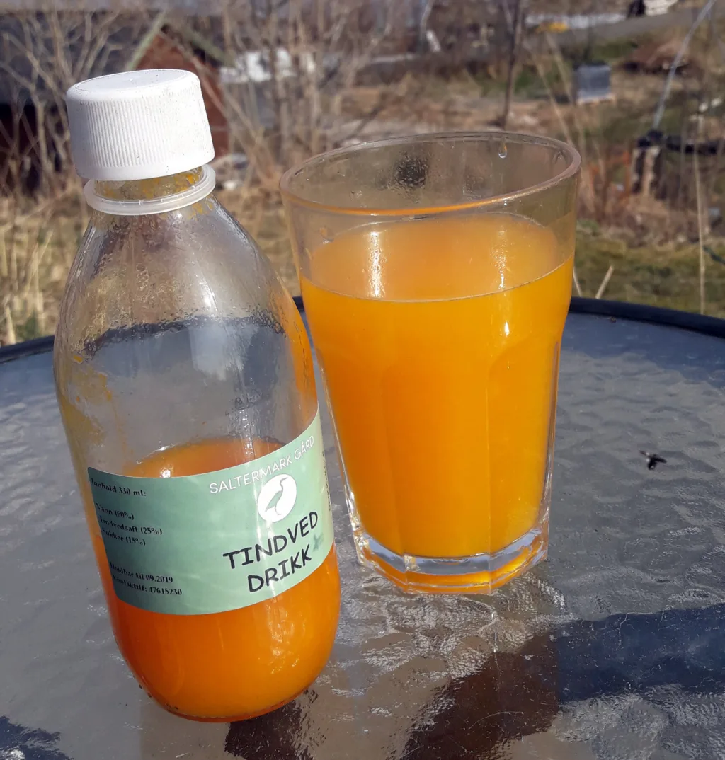 Fruktene av tindved kan gi mange ulike produkter. Dette er tindveddrikk produsert på Helgeland