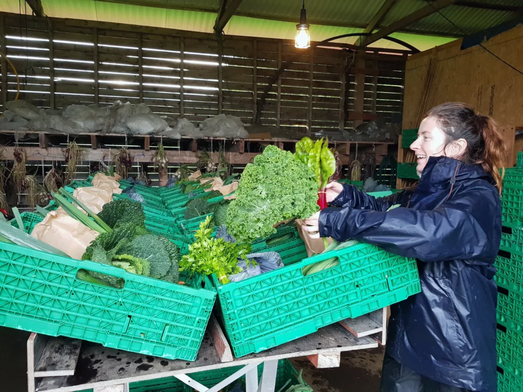 Ulvik andelslandbruk