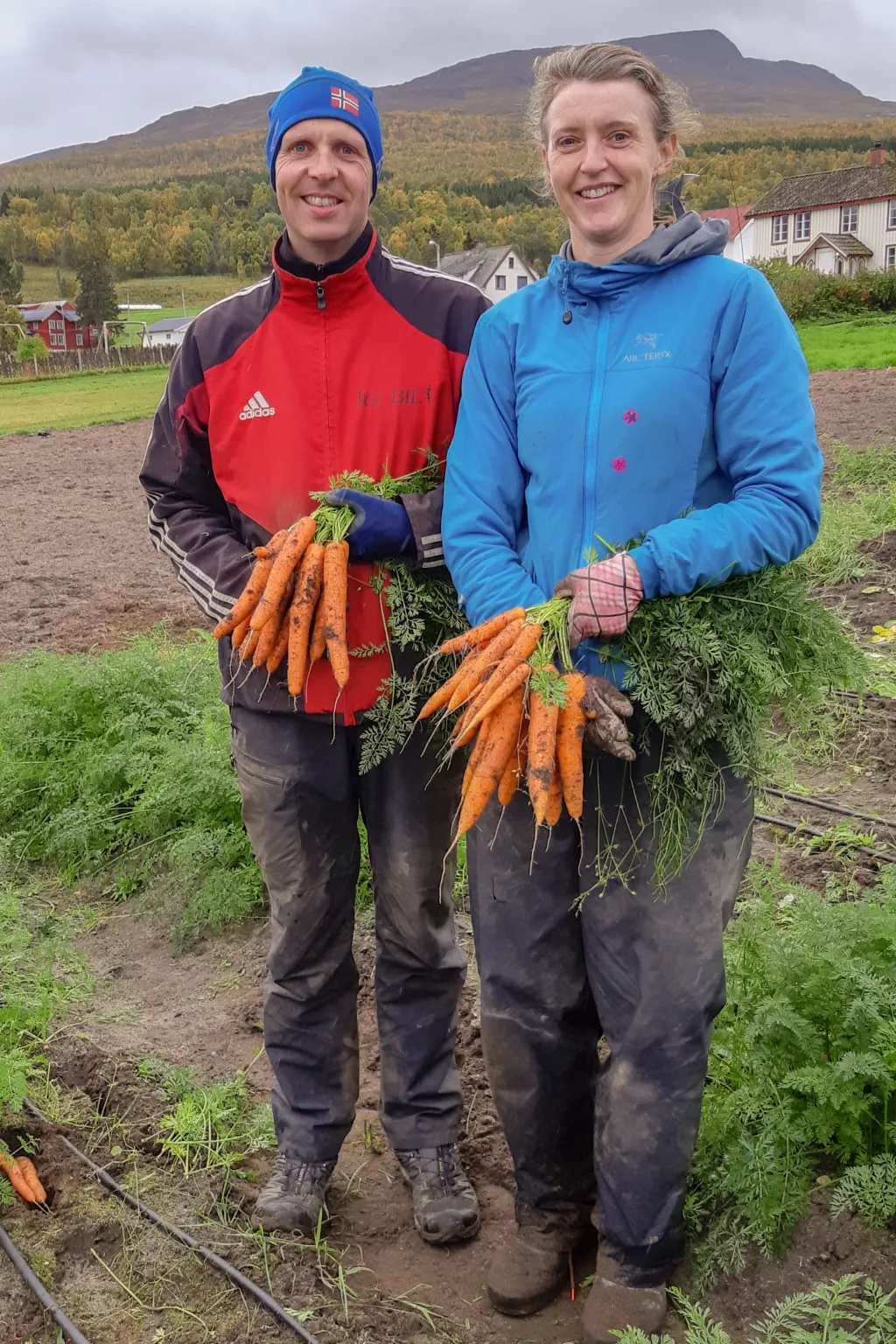 Odd Arne Johnsen og Signe Andreassen er fornøyd med årets avling og vil fortsette med gulrotdyrking til neste år.