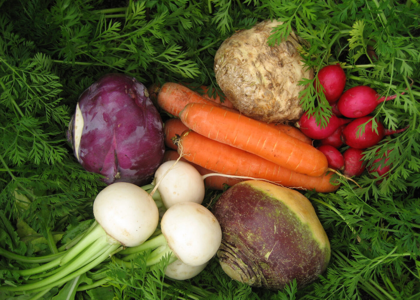 God kvalitet med bor