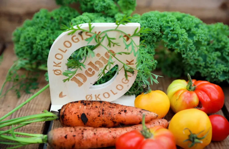 Økomat i hovedstaden - det skjer nå