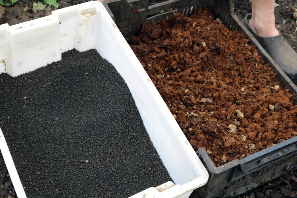 Bløtgjødsel fra storfe kan omdannes til ulike gjødselprodukter. Til venstre granulert gjødsel, til høyre den tørre fraksjonen etter separering i en skrueseparator