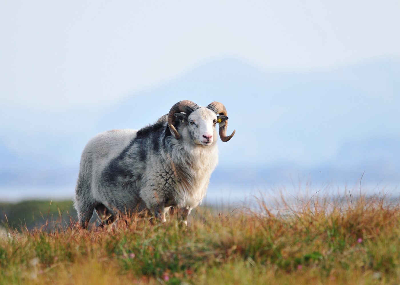 Bærekraftig utmarksmote