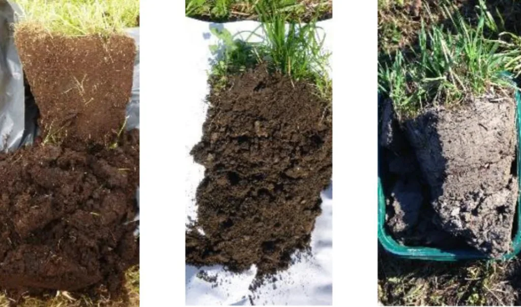 Fra venstre mot høyre tre eksempler på jord i Norge, med avtagende mengde organisk materiale; myrjord, morenejord og leirholdig jord. Det er det totale økosystemet på jordet som bestemmer mengden karbon i jorda, slik at både hva som produseres, hvordan, hvor mye som høstes og tilføres, i tillegg til jordsmonn, jordbiologi og miljøforhold bidrar inn i karbonregnskapet. Dette gjør det svært komplisert