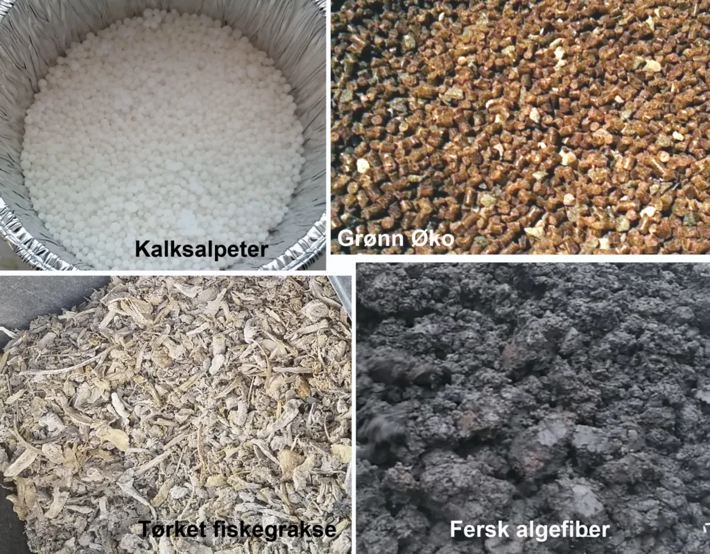 Nærbilder av gjødsla som ble tilført i potteforsøket.