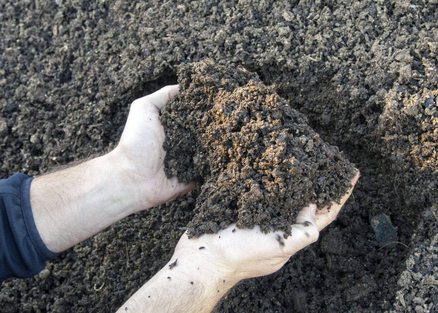 Fosfor må brukes smartere