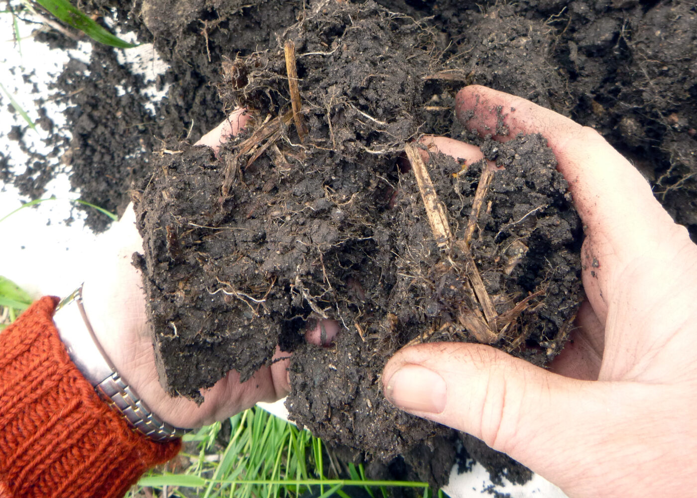 Stikk spaden og fingrene i jorda