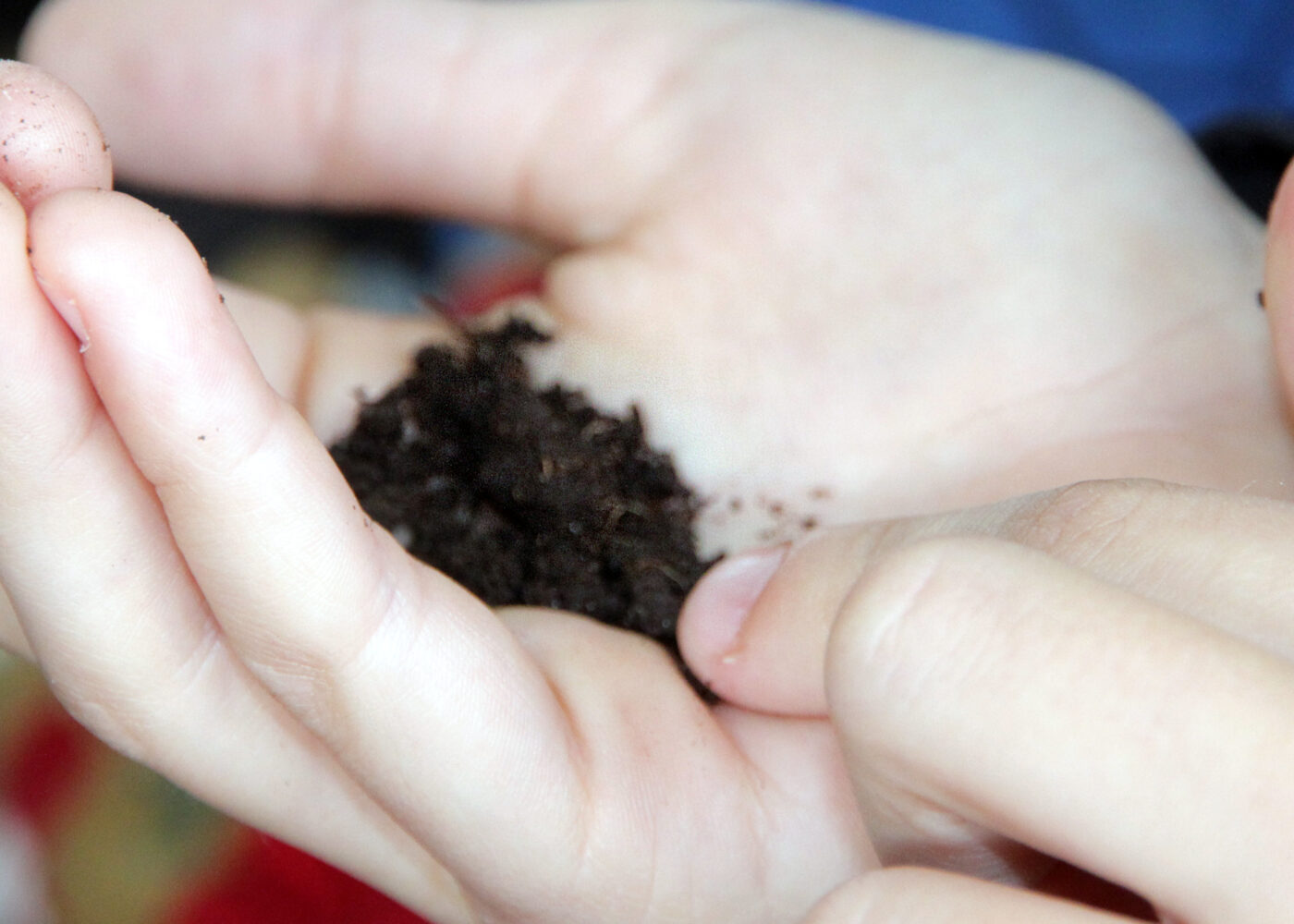 Kunnskap om jord viktig for framtida