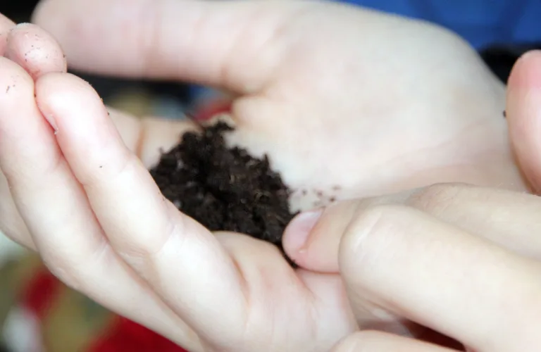 Kunnskap om jord viktig for framtida