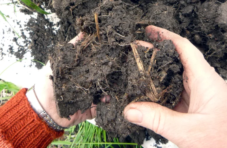 Stikk spaden og fingrene i jorda