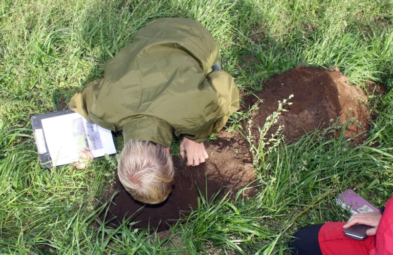 Stikk spaden i jorda