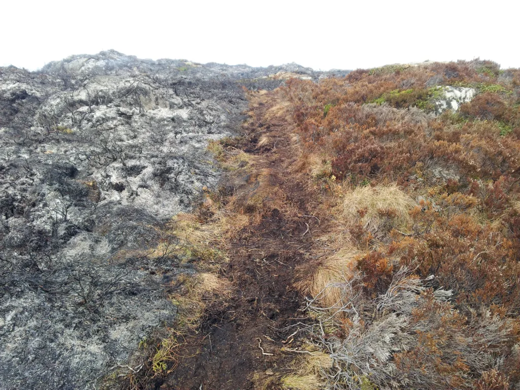 En sti kan være ei grense der en motvindsbrann kan stoppes, helst i kombinasjon med ei branngate. I dette tilfellet ble brannen startet langs stien
