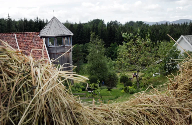 Mangesyslarane i Vindafjord