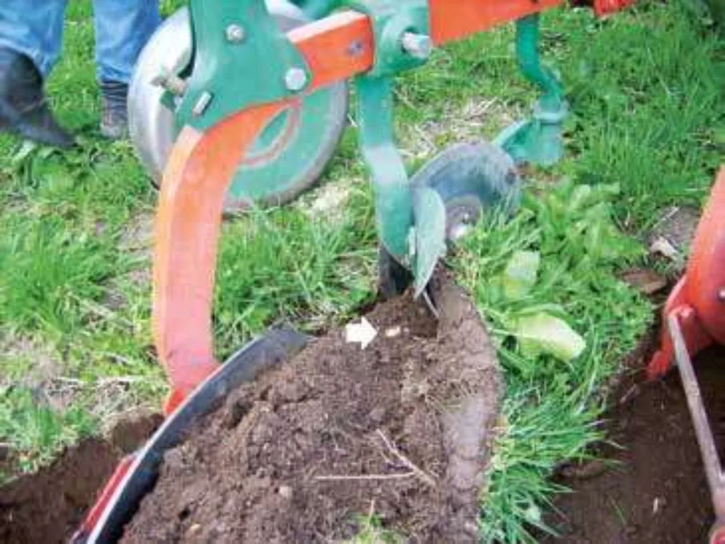 Forplogen skjærer av en trekant av velta. Dermed begraves de grønne plantedelene, og pila viser hvordan høymola er blitt «halshogd»