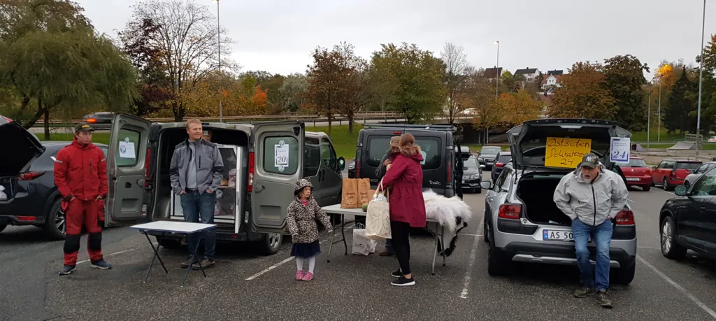 REKO-ringen Fredrikstad har vareutlevering på en parkeringsplass sentralt i Plankebyen