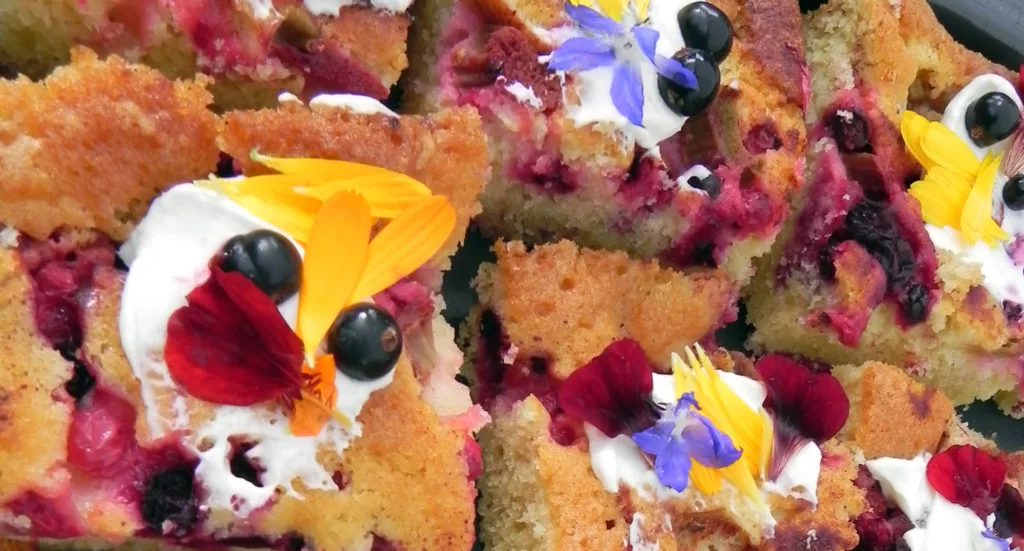 Kreativ økologisk eplekake.