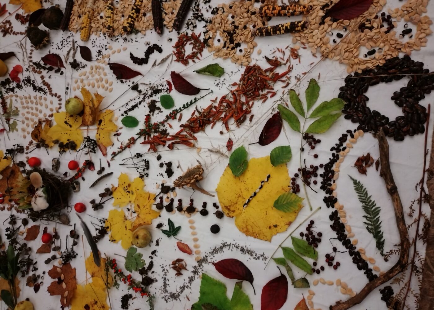 Et veiskille for frø- og planteformeringsmateriale