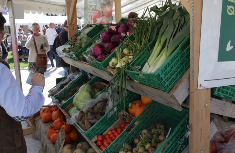 Personlighet har betydning for forbruk av og interesse for økologisk mat