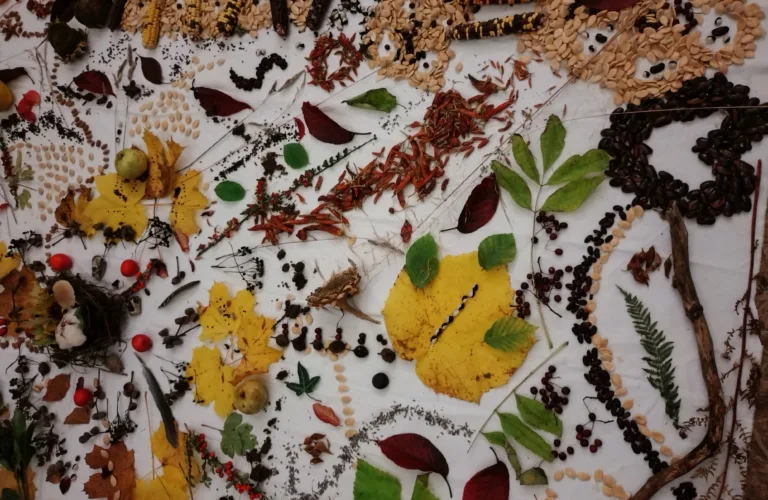 Et veiskille for frø- og planteformeringsmateriale