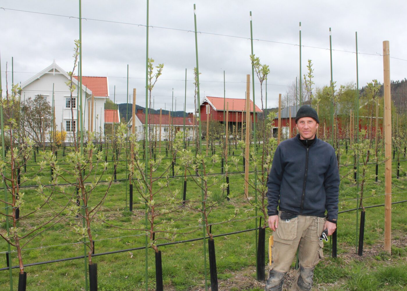 Like naturlig å drive økologisk som konvensjonelt