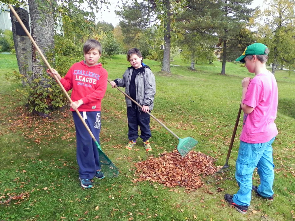 Løv egner seg godt som ingrediens i oppalsjord etter kompostering i to til tre år.  Det blir en løs og fin kompost som planterøttene trives i.