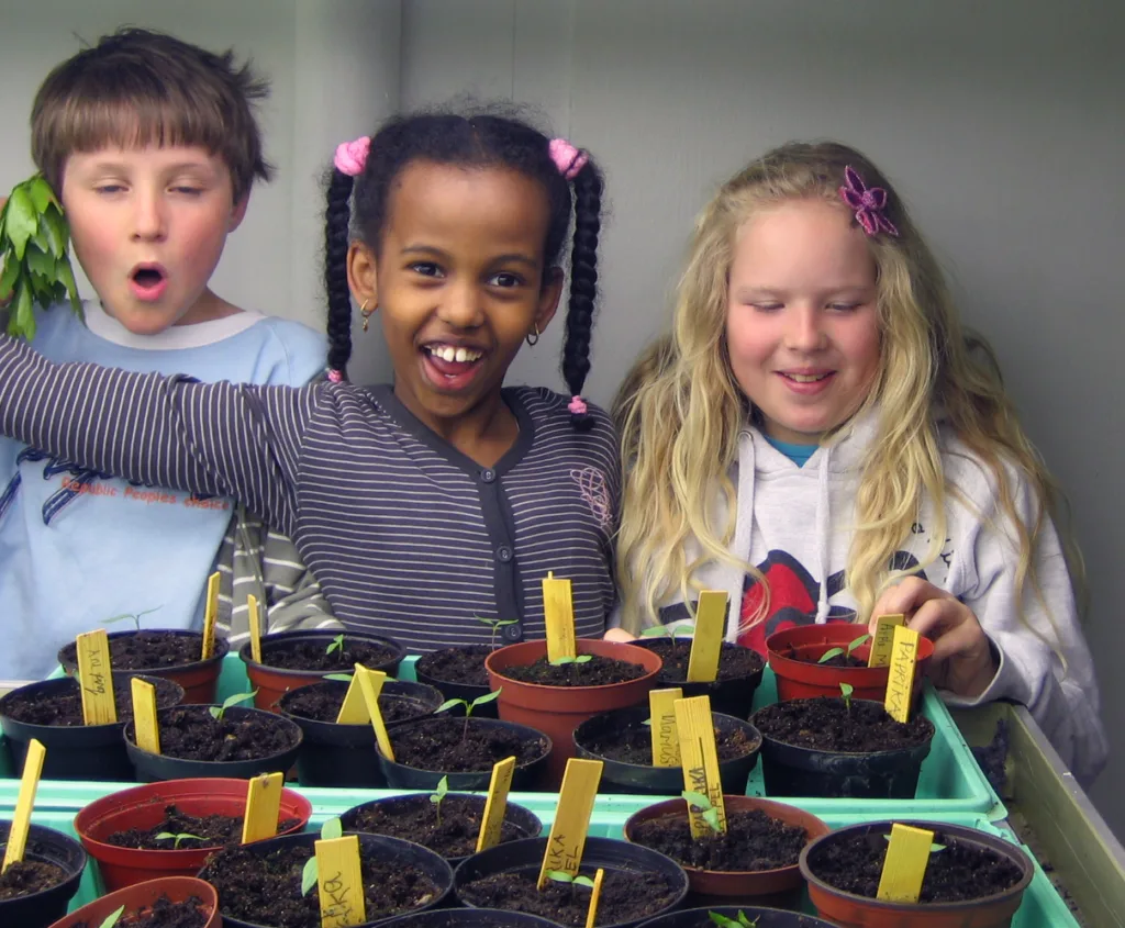 "Vi passer på at plantene har nok lys og fuktighet. Kanskje hjelper det å synge for plantene også?"