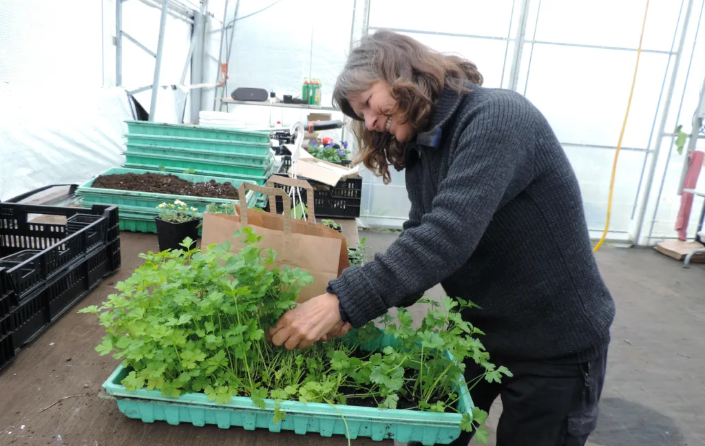 Eva Skulgam har bygd opp gartneriet sammen med Tor.