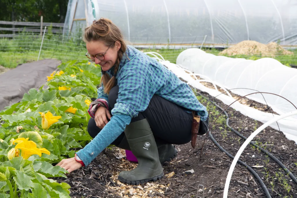 Toolie-Mina Anderback hørte Anders Lerberg Kopstad snakke om regenerativt landbruk på en konferanse i Sverige og ble så fasinert at hun spurte om å få arbeide på Toreshaugen