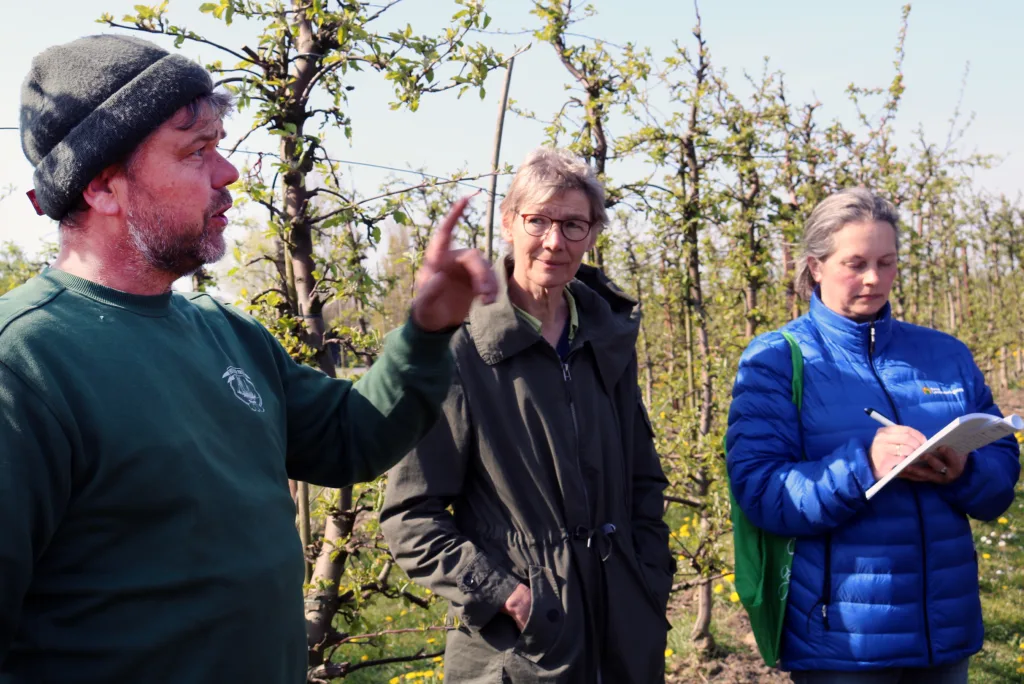 Fruktdyrker Laust S. Jensen forteller om produksjonen i Vesterled Fruktplantasje på øya Fejø. Rådgiverne Maren Korsgaard og Marianne Bøthun var reiseledere på studieturen