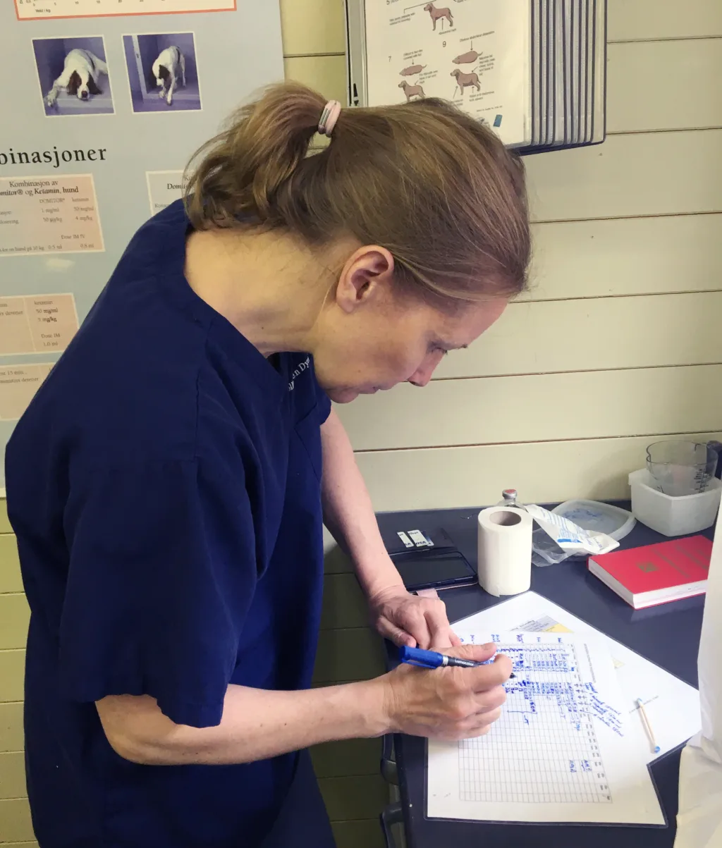 Berit Blomstrand, veterinær og forsker ved NORSØK, tar en doktorgrad på hvordan barkekstrakt virker mot parasitter.