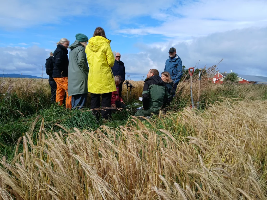Økt agrobiodiversitet  krever politiske virkemidler og samarbeid mellom aktører i landbruket.