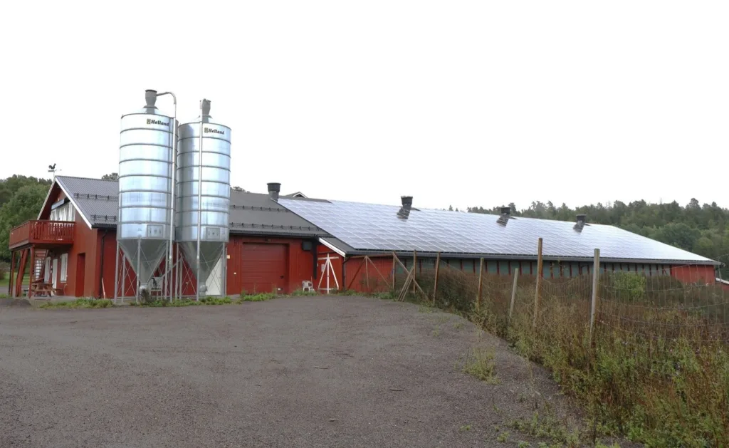 Nytt hønsehus sto klart i 2022 etter at det fra 2018 ble ødelagt av brann.