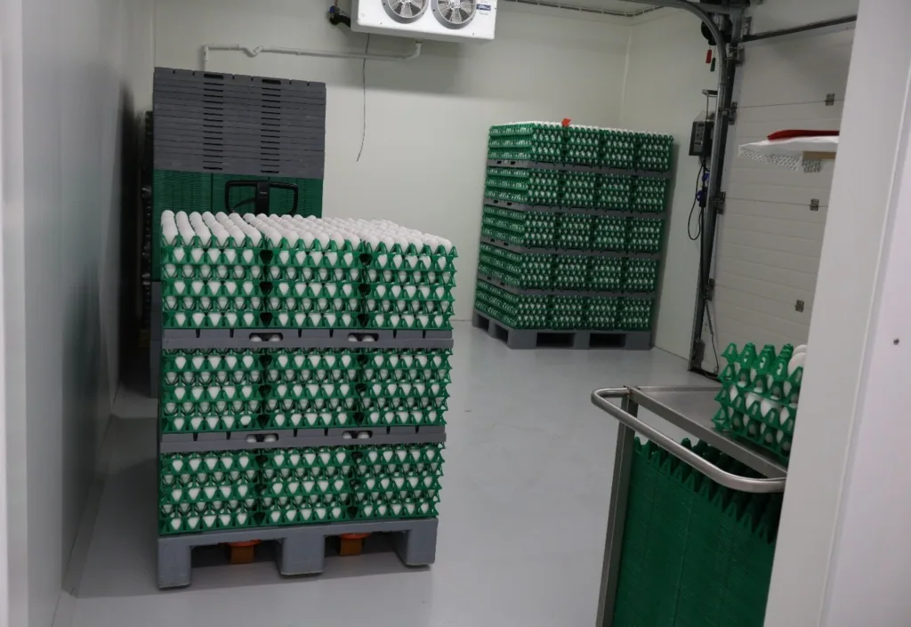Det går mye tid til håndtering og pakking av egg med 7 500 høner.
