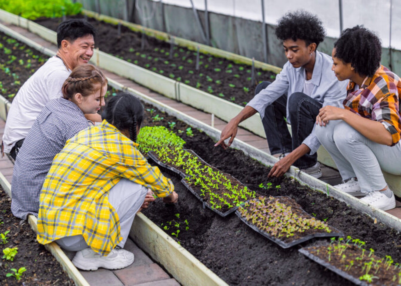 Agroøkologiens drivkraft i Europa