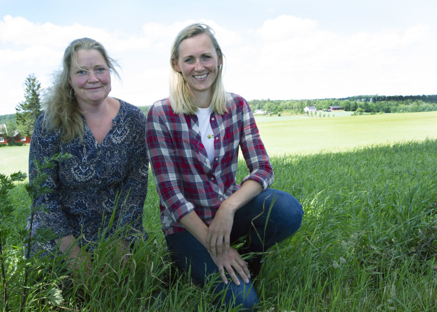 Tar det økologiske landbruket på pulsen