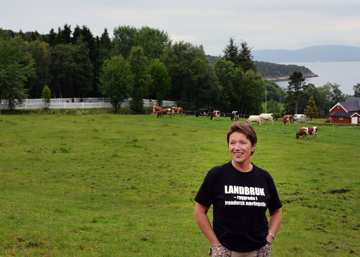 Resultater i toppklasse for trønderske økomjølkprodusenter